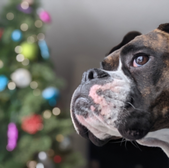 Meet your Posher, @nejen - Picture 2 of 2